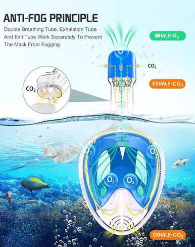 Greatever Full Face Snorkel Mask, Snorkeling Gear for Adults with Latest Dry Top Breathing System and Detachable Camera Mount, Foldable Snorkel Mask Adult, Snorkels Anti-Fog(Pink/Black, L/XL) in Kuwait