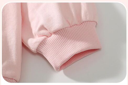 Toddler Girls Sweatshirt and Leggings Set Long Sleeve Top Pants Fall Outfits Winter Clothes Set in Saudi Arabia