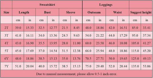 Toddler Girls Sweatshirt and Leggings Set Long Sleeve Top Pants Fall Outfits Winter Clothes Set in Saudi Arabia