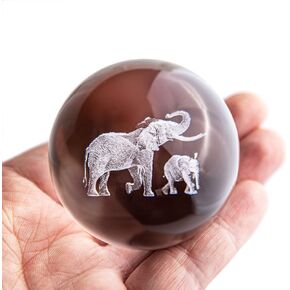 HDCRYSTALGIFTS كرة بلورية ثلاثية الأبعاد مقاس 2.4 بوصة منقوشة بالليزر على شكل سنجاب كريستال مقتنيات ثقالة الورق كرة زجاجية زينة كرات زخرفية