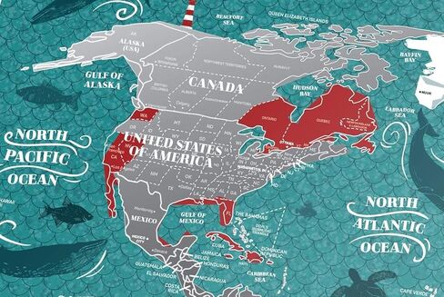 Small Scratch Off Travel World Map 1DEA.me - Premium Edition - 23.6" x 15.8" - Rewritable Places I’ve Been Travel Map - US States Outlined - Made from Flexible Plastic to Last Longer in Kuwait