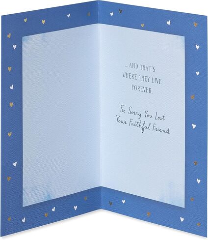 بطاقة تعاطف مع الحيوانات الأليفة من American Greetings (حيواناتنا هي عائلتنا) in Saudi Arabia