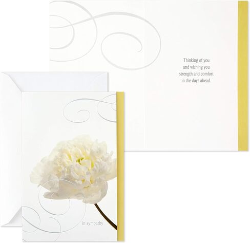 Hallmark Sympathy Cards Assortment, Watercolor Nature (12 Assorted Thinking of You Cards with Envelopes) & DaySpring Assorted Religious Sympathy Cards, Floral Wreaths (12 Cards with Envelopes) in Saudi Arabia