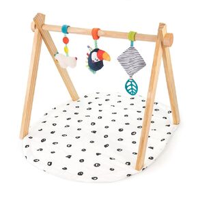 Sassy Eco Sproutin’ Safari Gym | Made Green | 0+ Months