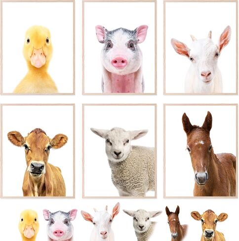 Insire Baby Animal Prints for Nursery, Baby Animal Pictures for Nursery, Farm Animal Pictures Wall Decor, Farm Animal Wall Decor, Farm Animal Pictures, Farm Animal Nursery Decor - (8x10 Unframed) in Saudi Arabia