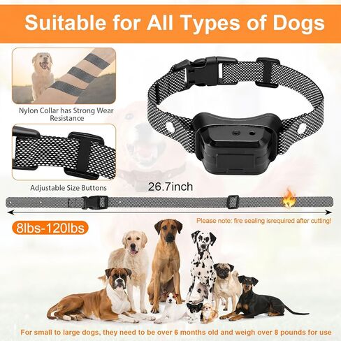 Citronella Training Collar for Dog [1* Spray Refill] Spray Dog Training Collar with Beep/Vibration/Spray Mode & 6 Adjustable Sensitivities Bark Collar, Safer Citronella Bark Collar for L/M/S Dog in Kuwait