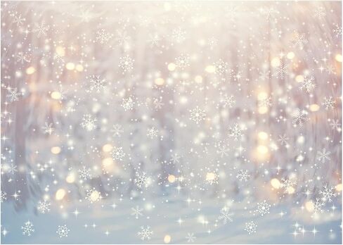 WOLADA Winter Wonderland Photography Backdrop Christmas Winter Snowflake Backdrop Christmas Glitter Bokeh Snowflakes Backdrop 7x5FT FW70 in Saudi Arabia