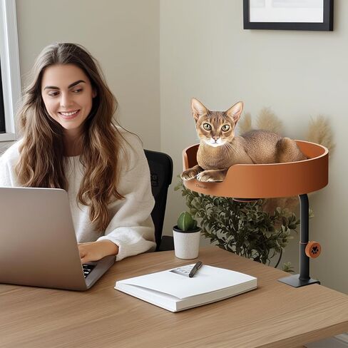 Cat Bed Desk Nest with Teaser,Easy Installation Shelf,Sturdy Frame,Removable Cushioned Cushion, Space Saving Design,Ideal for Side Table,Home Office,Fits Cats in Saudi Arabia