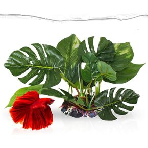 SunGrow Betta Fish Leaf Hammock, Twin Leaf Design with Suction Cup, 2-Pack - Comfortable Resting, Breathing & Breeding Pads, Easy Install, Simulates Natural Habitat for Healthier Betta