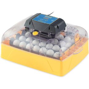 منتجات Brinsea Usag45C Ovation 56 حاضنة بيض أوتوماتيكية صديقة للبيئة، مقاس واحد in Kuwait