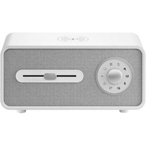 White Noise Sound Machine for Sleeping,9 Natural and Soothing Sounds,Wireless Charger,Music Play for Bedroom and Outdoor,White Noise Sound Machine for Baby,Kids,Adults