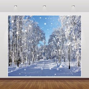 Winter Wonderland Christmas Backdrops for Photography 10x8ft Frozen Snow Forest Snowflake Backdrop Glitter White Snowy Backdrop Kids Adults Winter Party Wedding Birthday Decor Photoshoot Background