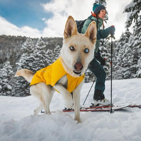 Ruffwear, Vert Dog Winter Jacket, Waterproof & Insulated Coat for Cold Weather, Mineral Yellow, Large in Saudi Arabia