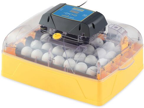 Brinsea Products Usag45C Ovation 56 Eco Automatic Egg Incubator, One Size in Saudi Arabia