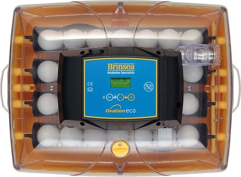 Brinsea Products Usag45C Ovation 56 Eco Automatic Egg Incubator, One Size in Saudi Arabia