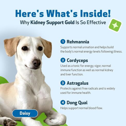 دعم الكلى لصحة الحيوانات الأليفة للقطط - تركيبة بيطرية - يدعم وظيفة الكلى الصحية في القطط - مكمل عشبي طبيعي 2 أونصة (59 مل) in Kuwait