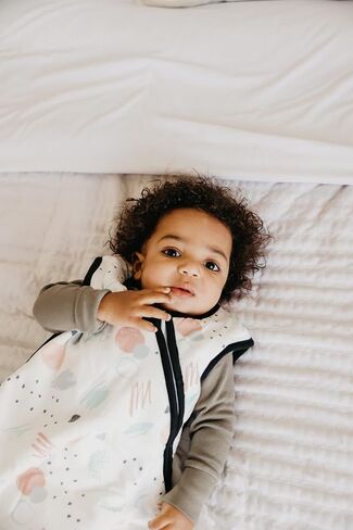 Copper Pearl Sleep Sack: Warm and Cozy Baby Bag in a Variety of Trendy Designs, Safe Alternative to Blankets, Sleeveless Baby Sleep Sack Swaddle Sizes Newborn to 24 Months - Bayside in Kuwait