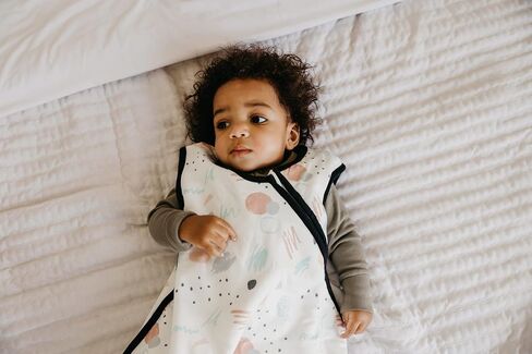 Copper Pearl Sleep Sack: Warm and Cozy Baby Bag in a Variety of Trendy Designs, Safe Alternative to Blankets, Sleeveless Baby Sleep Sack Swaddle Sizes Newborn to 24 Months - Bayside in Kuwait