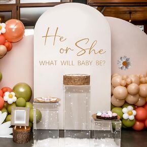 He or She Wall Decals，He or She What Will Baby Be Wall Decals，Gender Reveal Party Wall Decal, Baby Shower Party Wall Stickers，Party Decorations Vinyl Stickers for Backdrop Party Supply.