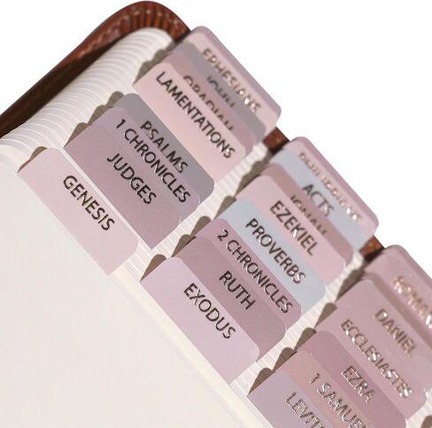 Laminated Bible Tabs for Women, Bible Study, Gold Foil Indexing Labels, Bible Journaling, Durable, New and Old Testament, Christian, Catholic, Apocrypha, 90 Tabs - Let Him Shine in Kuwait