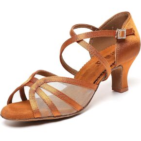 Mesh Woman Latin Dance Shoes Low Heels, Salsa Shoes for Women Dancing, Ballroom Dance Shoes, Satin Prom Shoes