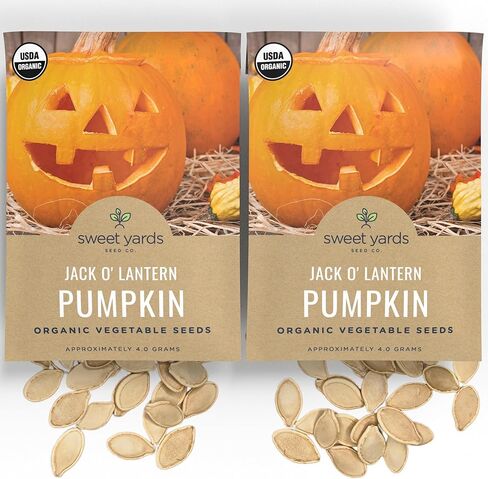 بذور اليقطين العضوية "جاك أو" فانوس - عبوتين من البذور! - تقريبا. 60 بذور يقطين الهالوين مفتوحة التلقيح وغير معدلة وراثيًا – Sweet Yards Seed Co. in Kuwait