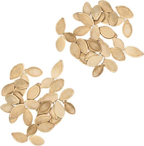 بذور اليقطين العضوية "جاك أو" فانوس - عبوتين من البذور! - تقريبا. 60 بذور يقطين الهالوين مفتوحة التلقيح وغير معدلة وراثيًا – Sweet Yards Seed Co. in Kuwait