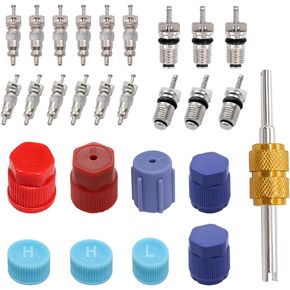 Taiss AC System Seal Caps Kit,Air Conditioning Valve Core,A/C R12 R134a Refrigeration Tire Valve Stem Cores Rmoval Tool,Cap & Valve Air Conditioning System Seal Cap 27pcs F-096