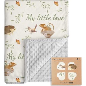 Baby Blankets for Unisex Boys Girls - Super Soft Clouds Rainbow Nursery Minky Blankets, 30 x 40 Inch Dotted Fleece Backing, Printed Bed Throws Newborn
