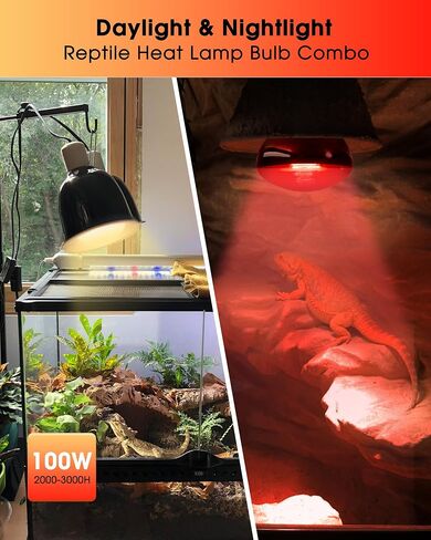 Flaspar Reptile Heat Lamp - 100W UVA Heat Lamp Bulbs Basking Spot Lights for Reptiles, Daylight Amphibians Basking Heat Lamp Bulbs for Reptiles, Bearded Dragon, Lizard, Turtle, Chicken, 2 Pack in Saudi Arabia