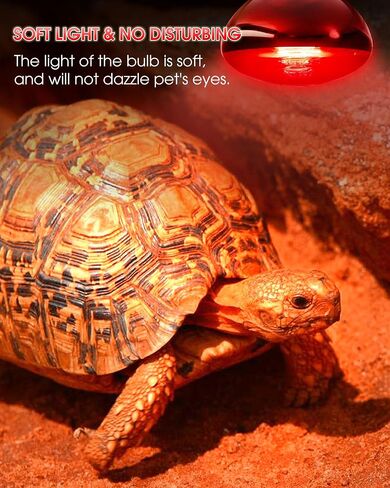 Flaspar Reptile Heat Lamp - 100W UVA Heat Lamp Bulbs Basking Spot Lights for Reptiles, Daylight Amphibians Basking Heat Lamp Bulbs for Reptiles, Bearded Dragon, Lizard, Turtle, Chicken, 2 Pack in Saudi Arabia