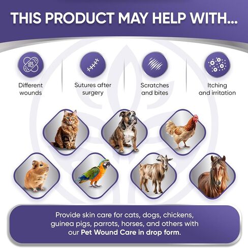 Dog Wound Spray | Cat and Dog Wound Care | Dog Itch Spray | Pet Wound Care + Lavender | Wound Care for Dogs | Cat Wound Care | Horse Wound Care | Wound Care for Cats | Chicken Wound Spray | 4 Oz in Saudi Arabia