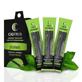 Smokeless Air Puffer | Fresh Spearmint- 3 Piece | Smoking Alternative Oil Pen- Non-Electric | Nicotine-Free, Smoke-Free, Tobacco-Free | Oral Fixation Craving Relief