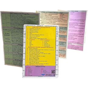 Essential Starter Kit: Pilot's Acronym Cheat Sheet, Logbook with Large VFR-IFR Placard, VFR Study Guide.