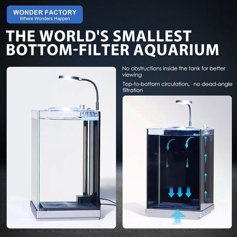 3 Gallon Fish Tank Aquarium Starter Kit, Including Glass Small Fish Bowl, Heater, Self-Cleaning Filter, Light, Rocks, Gravel, Plants, Cleaning Tool Set.Beginner's Gift for Betta, Guppy in Kuwait