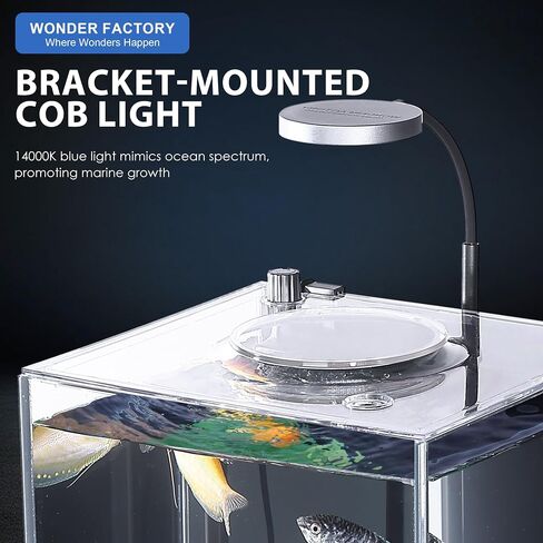 3 Gallon Fish Tank Aquarium Starter Kit, Including Glass Small Fish Bowl, Heater, Self-Cleaning Filter, Light, Rocks, Gravel, Plants, Cleaning Tool Set.Beginner's Gift for Betta, Guppy in Kuwait