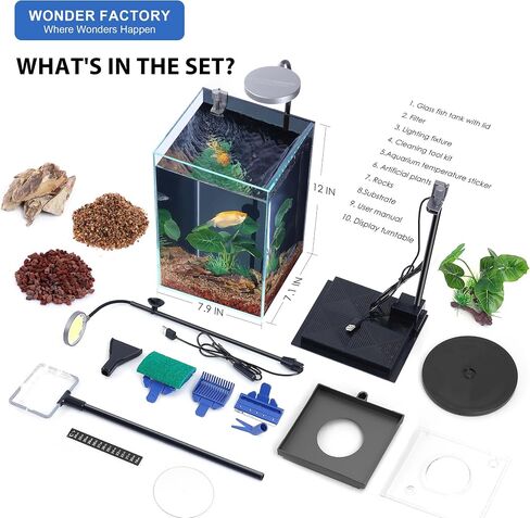 3 Gallon Fish Tank Aquarium Starter Kit, Including Glass Small Fish Bowl, Heater, Self-Cleaning Filter, Light, Rocks, Gravel, Plants, Cleaning Tool Set.Beginner's Gift for Betta, Guppy in Kuwait