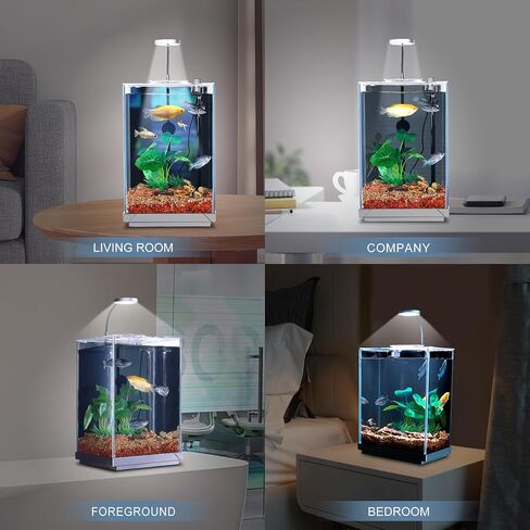 3 Gallon Fish Tank Aquarium Starter Kit, Including Glass Small Fish Bowl, Heater, Self-Cleaning Filter, Light, Rocks, Gravel, Plants, Cleaning Tool Set.Beginner's Gift for Betta, Guppy in Kuwait