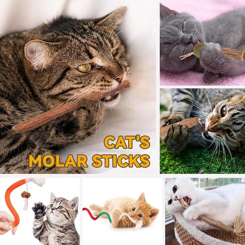 Cat Toys Cat Chew Toys, Silvervine Sticks Catnip Rope Toys for Cats Teeth Cleaning, Kitten Dental Care, Kitty Toys for Indoor Cats Increase Appetite,Enhances Oral & Dental Health (Small 20 Pack) in Kuwait