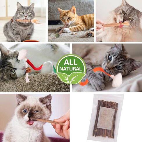 Cat Toys Cat Chew Toys, Silvervine Sticks Catnip Rope Toys for Cats Teeth Cleaning, Kitten Dental Care, Kitty Toys for Indoor Cats Increase Appetite,Enhances Oral & Dental Health (Small 20 Pack) in Kuwait