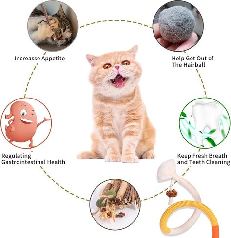 Cat Toys Cat Chew Toys, Silvervine Sticks Catnip Rope Toys for Cats Teeth Cleaning, Kitten Dental Care, Kitty Toys for Indoor Cats Increase Appetite,Enhances Oral & Dental Health (Small 20 Pack) in Kuwait