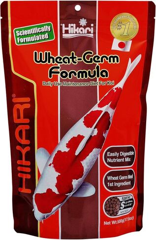Hikari Usa Inc AHK06370 Wheat Germ 4.4lb, Medium in Kuwait