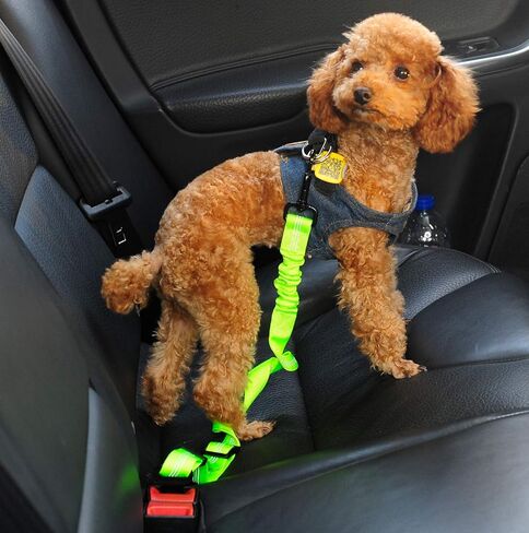 3 Colors Dog Safety Belt Pet Seat Belt Dog Car Harness Adjustable 360° zinc Alloy Buckle with Elastic,High Strength,Wear-Resistant and Durable,Easy to Install,Easy to Wash(Grey) in Kuwait