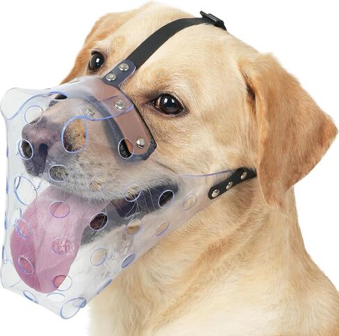 Mayerzon Dog Muzzle, Basket Muzzle for Large Medium Small Dogs, Humane Breathable Cage Mouth Guard to Prevent Biting Chewing Eating for Grooming Training Walking Vet Visits (L, Clear) in Kuwait