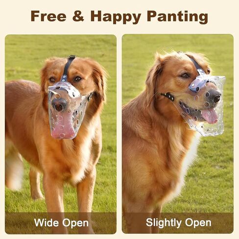 Mayerzon Dog Muzzle, Basket Muzzle for Large Medium Small Dogs, Humane Breathable Cage Mouth Guard to Prevent Biting Chewing Eating for Grooming Training Walking Vet Visits (L, Clear) in Kuwait