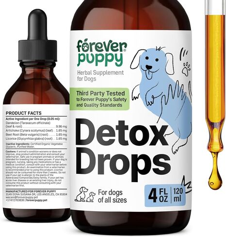 Detox Drops for Dogs - Liver Cleanse & Kidney Support for All Breeds & Sizes - Dandelion Leaf & Dandelion Root - Antioxidant Support for Pets - Herbal Vitamins and Supplements for Detox - 2 oz in Saudi Arabia