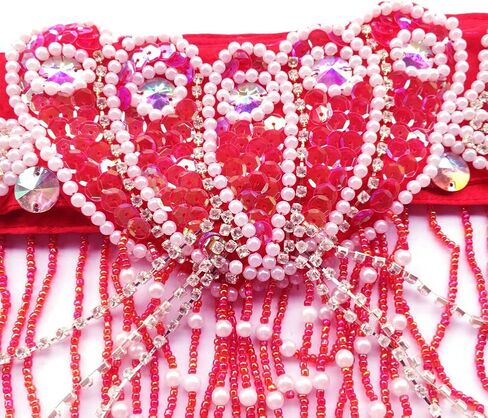 ROYAL SMEELA Belly Dance Costume for Women Tribal Belly Dance Bra and Belt Sexy Professional Dancing Suit Carnival Bra Belt in Kuwait