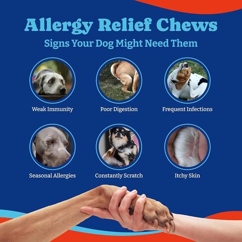 Joint Supplement for Dogs - Glucosamine for Dogs, with Chondroitin, MSM - Dog Pain Relief Anti-Inflammatory, Support Hip & Joint Health, Mobility - 180 Soft Chews, Duck & Pear Flavor in Kuwait