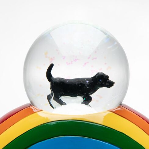 Pet Urn,Dog Urns for Ashes,Perfect Memorial Pet Urn with Rainbow Bridge Snow Globe Design… in Saudi Arabia