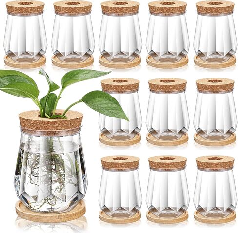 12 Packs Plastic Desktop Plant Terrariums Propagation Planter Water Station Tabletop Planting Vase with Lid and Bamboo Stand for Growing Hydroponic Home Office Table Decoration, 2.5 x 4 Inch in Kuwait